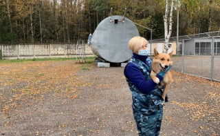 «Аэрофлот» решил использовать шалаек для обеспечения безопасности, поскольку их ловкость давала возможность обыскивать такие тесные пространства, как кабины самолетов.